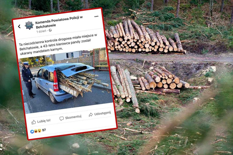 Przewożenie drewna autem osobowym nie jest zabronione, ale wymaga dostosowania do przepisów /Wojciech Stróżyk /Reporter   /East News