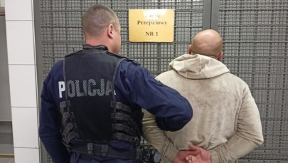 Przewoził narkotyki i "udawał sowę". Jest w rękach policji