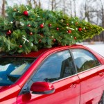 Przewozisz choinkę? Jeden błąd i zapłacisz nawet 500 zł mandatu