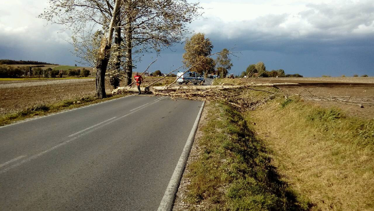 Przewrócone drzewo zabiło jedną osobę, dwie zostały ranne. Wichury szalały nad Polską