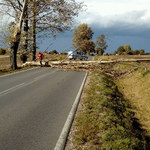Przewrócone drzewo zabiło jedną osobę, dwie zostały ranne. Wichury szalały nad Polską