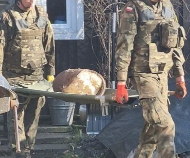 Przez 80 lat spali na bombie. Nie wierzyli w rodzinną legendę