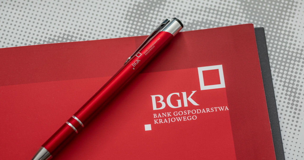 Przez BGK "przepłyną" miliardy euro z Krajowego Planu Odbudowy (KPO) /Arkadiusz Ziółek /East News