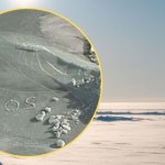 Przez kilka godzin dryfowali na krze. Z lodu ułożyli sygnał SOS