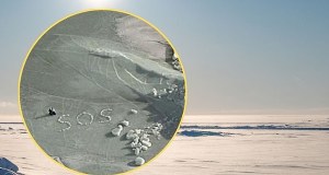 Przez kilka godzin dryfowali na krze. Z lodu ułożyli sygnał SOS