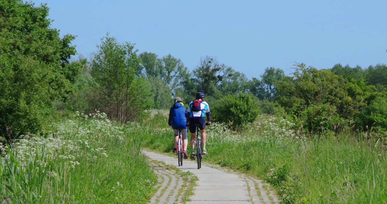 Przez Podlasie prowadzi najdłużśzy odcinek Szlaku Rowerowego Green Velo. Oferuje malownicze widoki i ciekawe atrakcje. /East News