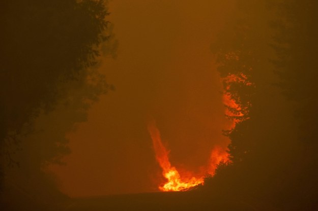Przez pożar tysiące ludzi musiało zostać ewakuowanych /PETER DaSILVA /PAP/EPA
