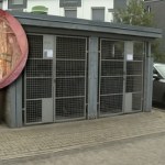 Szczecin Przez przypadek wyrzucili na śmieci 300 tys. zł. Finał historii zaskakuje