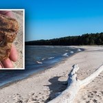 Przez przypadek znalazła nad Bałtykiem skarb. Bursztyn był wielki jak dłoń