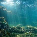 Przez zmiany klimatyczne może rozpuszczać się dno oceaniczne