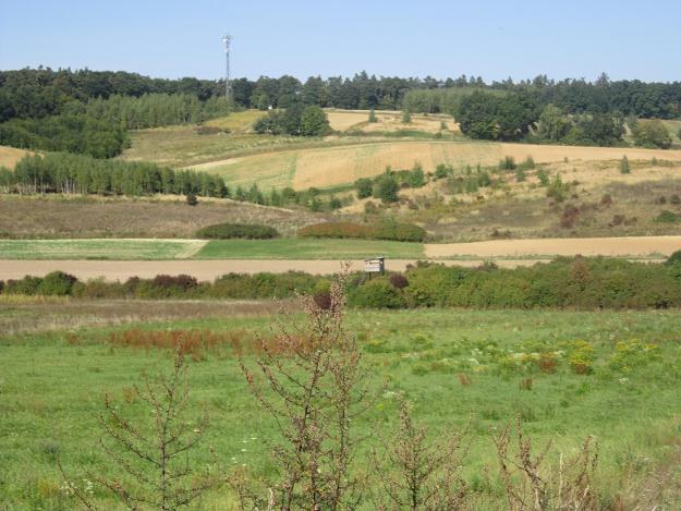 Przeznaczenie terenów jest ustalone w miejscowym planie zagospodarowania terenu /INTERIA.PL