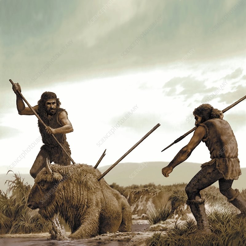 Przeżycie ludów łowieckich w okresie paleolitu zależało przede wszystkim od ilości upolowanej zwierzyny. Wiedza nt. jej migracji czy cyklu rozmnażania musiała być dla naszych przodków kluczowa /RAUL MARTIN/MSF/SCIENCE PHOTO LIBRARY