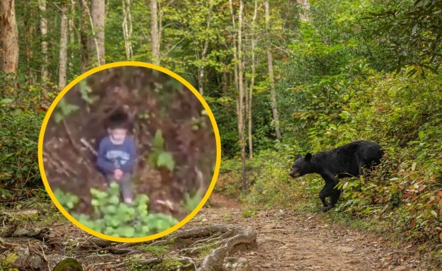 Przeżył trzy dni w lesie pełnym niedźwiedzi. Niewiarygodna historia 5-letniego Alexa