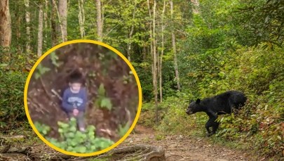 Przeżył trzy dni w lesie pełnym niedźwiedzi. Niewiarygodna historia 5-letniego Alexa