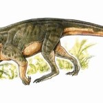 Przodkowie dinozaurów jak krokodyle