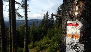 Przybij piątkę naturze! Gorce czekają