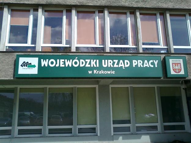 Przybywa bezrobotnych zarejestrowanych w urzędach pracy. Fot. Krzysztof Mrówka /INTERIA.PL