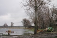 Przybywa wody w wielkopolskiej gminie Golina