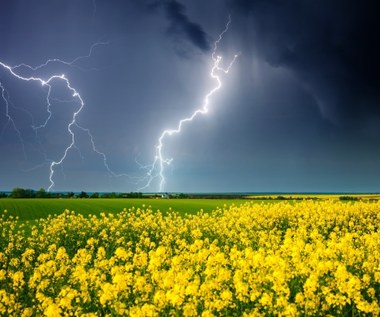 Przyciągają pioruny jak magnes. Podczas burzy unikaj za wszelką cenę