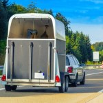 konie Przyczepa z końmi przewróciła się na S8