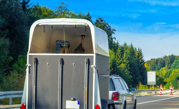 Przyczepa z końmi przewróciła się na S8