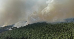 Przyczyna pożaru Puszczy Solskiej. Prokuratura dementuje fałszywą informację