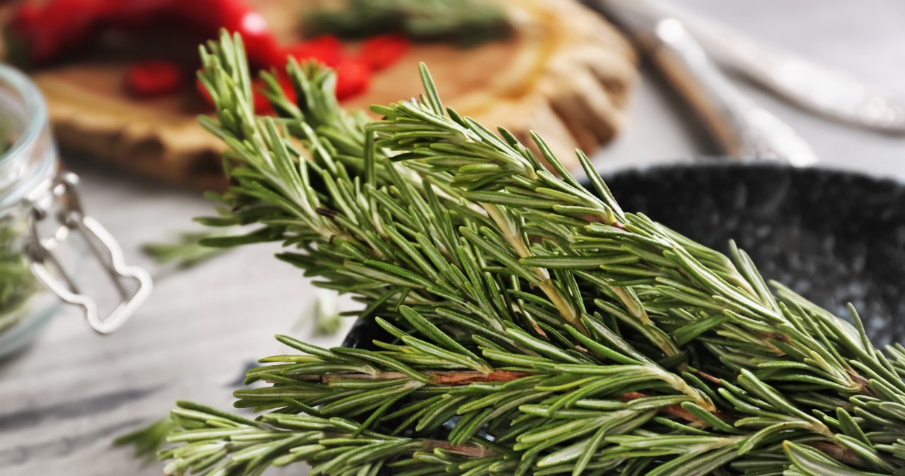 Przygotowanie rozmarynowej płukanki do tonowania siwizny /123RF/PICSEL