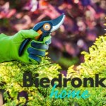 Przygotuj swój ogród na wiosnę. Sprzęt i meble ogrodowe w wyjątkowych promocjach