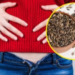 Przygotuj układ pokarmowy do świąt. Najlepsze zioła i suplementy na detoks wątroby 