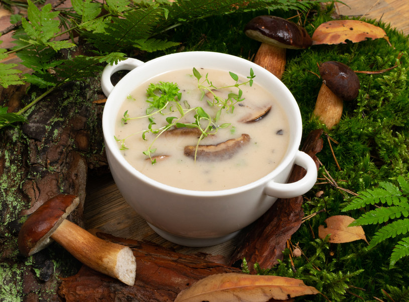 Przygotuj z podgrzybków pyszną zupę /123RF/PICSEL