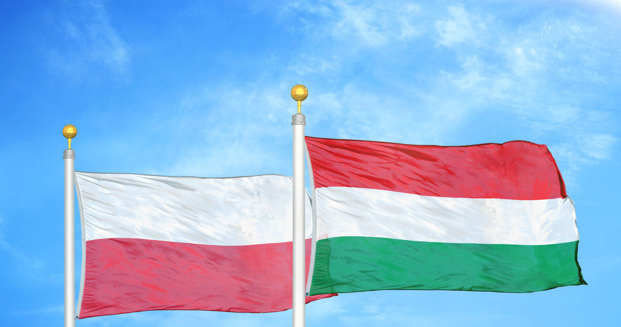 Przyjaźń polsko-węgierska kształtowała się od wieków. /123RF/PICSEL