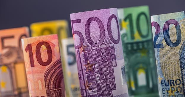 Przyjęcie euro jest receptą na przezwyciężenie gospodarczych problemów? /&copy;123RF/PICSEL