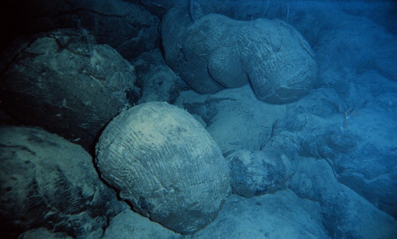 Przykład bazaltu pod wodą. Po erupcji zastyga tworząc charakterystyczne "poduszki" /NOAA    /domena publiczna