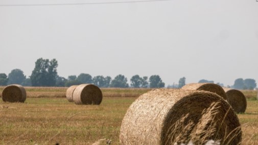 Przykład dla Polski - jak Litwini obniżyli ceny ciepła sieciowego