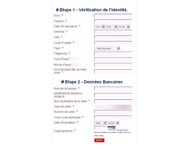 Przykład fałszywego formularza na stronie przypominającej do złudzenia serwis płatniczy /materiały prasowe