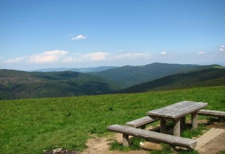 Przykład wykorzystania zasady "złotego środka" /INTERIA.PL