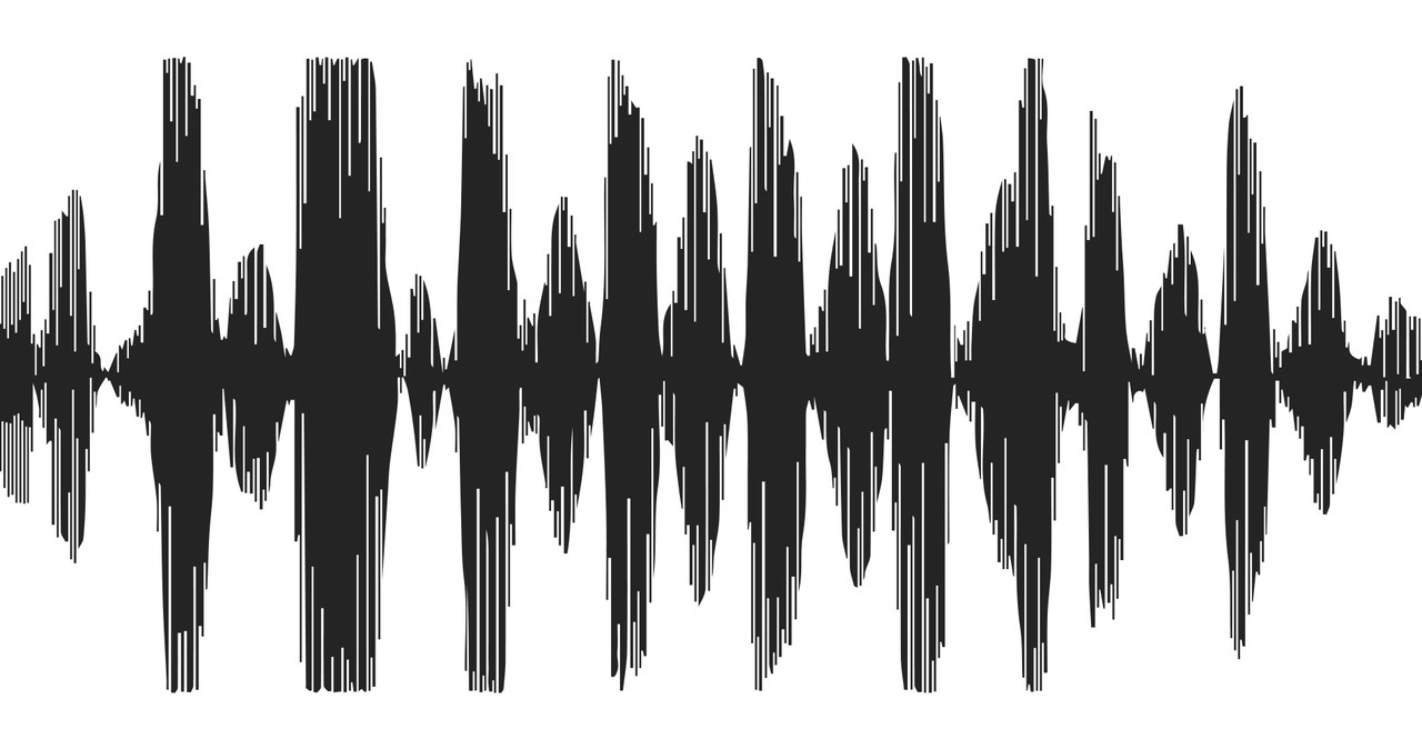 Przykładowy obraz fal spektrogramu, wszyscy na pewno kojarzą podobne modele /123RF/PICSEL