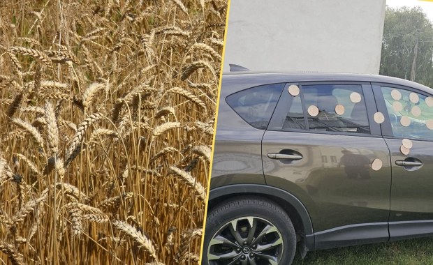 Przykry incydent na dożynkach. Ksiądz pokazał, co zrobili z jego autem