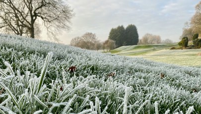 Przymrozki w województwie warmińsko-mazurskim. Są alerty