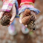 ​Przynieś ze spaceru i zabierz do ogrodu. Zdziwisz się, w czym ci pomogą