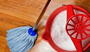 Przynieś ze spaceru i zalej wodą. Zrobisz naturalny kosmetyk i środek do mycia 