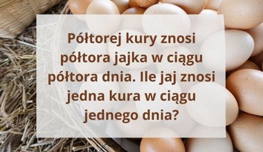 Przypadek z jajkiem i kurą. Nietypowa zagadka na logiczne myślenie