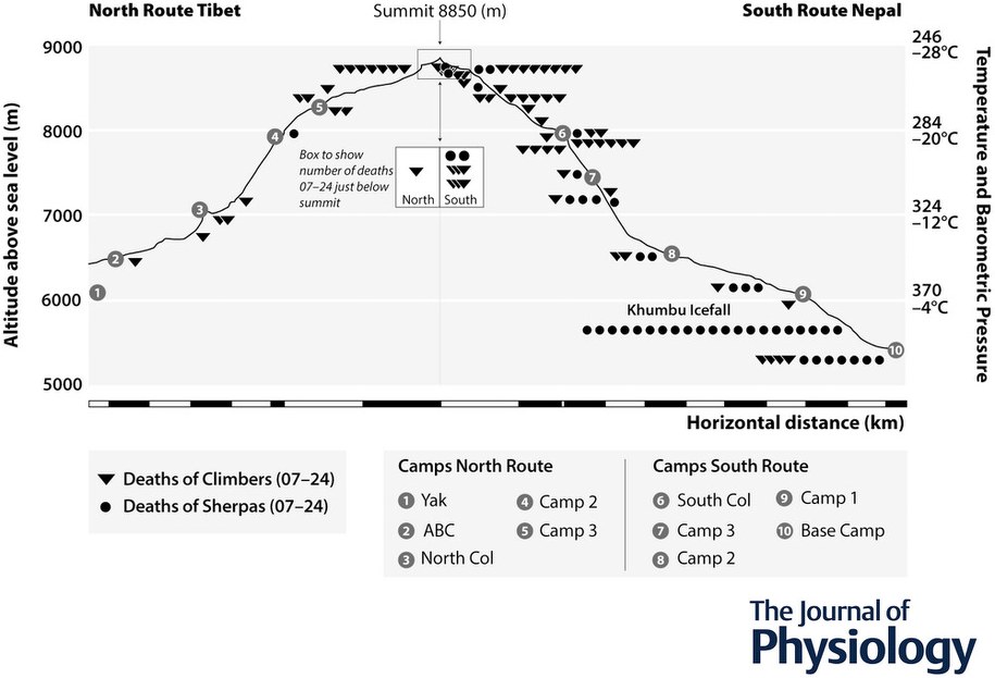 Przypadki śmierci podczas prób zdobycia Mount Everestu od strony chińskiej (po lewej) i nepalskiej /The Authors. The Journal of Physiology  /Materiały prasowe