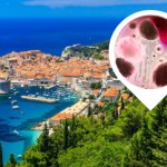 Przypadki wąglika w Chorwacji. Jak groźna jest ta choroba?