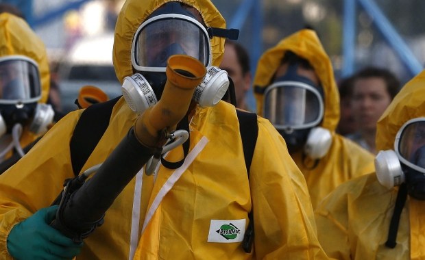 Przypadki zarażenia wirusem Zika we Francji. Eksperci ostrzegają przed epidemią