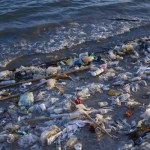 oceany Przypływ śmieci. Morze wyrzuciło plastikowe butelki z lat 60. i 70.