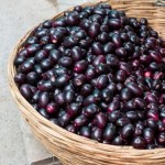 Przypomina czarna oliwkę. Ostry, ale słodki superowoc na cukrzycę, dobre trawienie i odporność