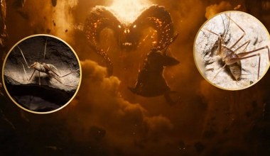 Przypomina pająka i zwie się na cześć demona z Tolkiena. Żyje w tunelu