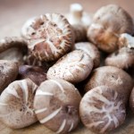 Przypominają pieczarki, ale są o niebo zdrowsze. Mówią, że są "eliksirem życia"