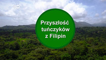 Przyszłość tuńczyków z Filipin